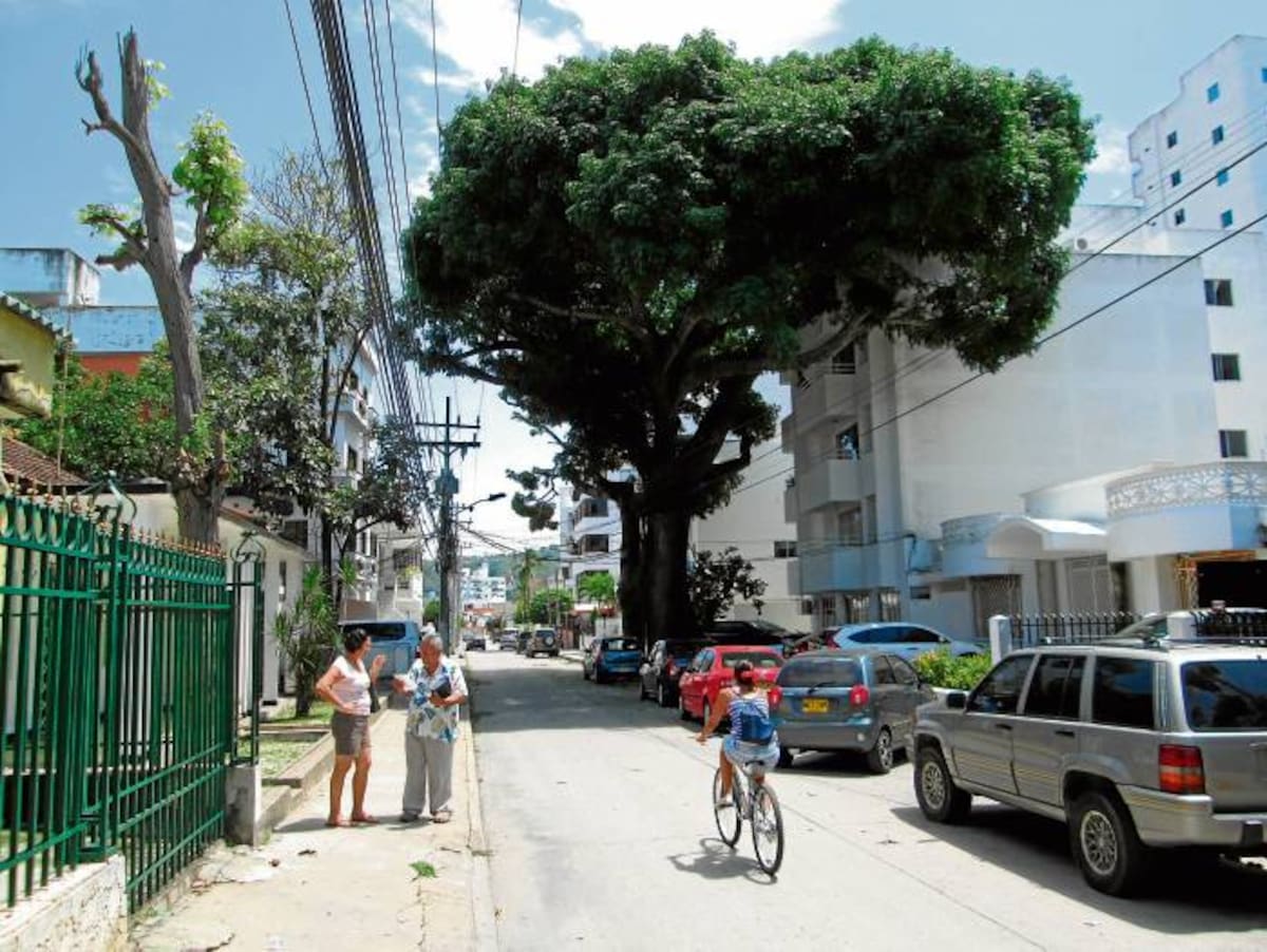Tercer Callejón de la Rochela, en el barrio Manga. PEDRO TORRES-GENTE BAHÍA