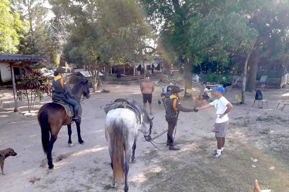 Lanzan estrategia para contrarrestar el hurto de ganado en Atlántico