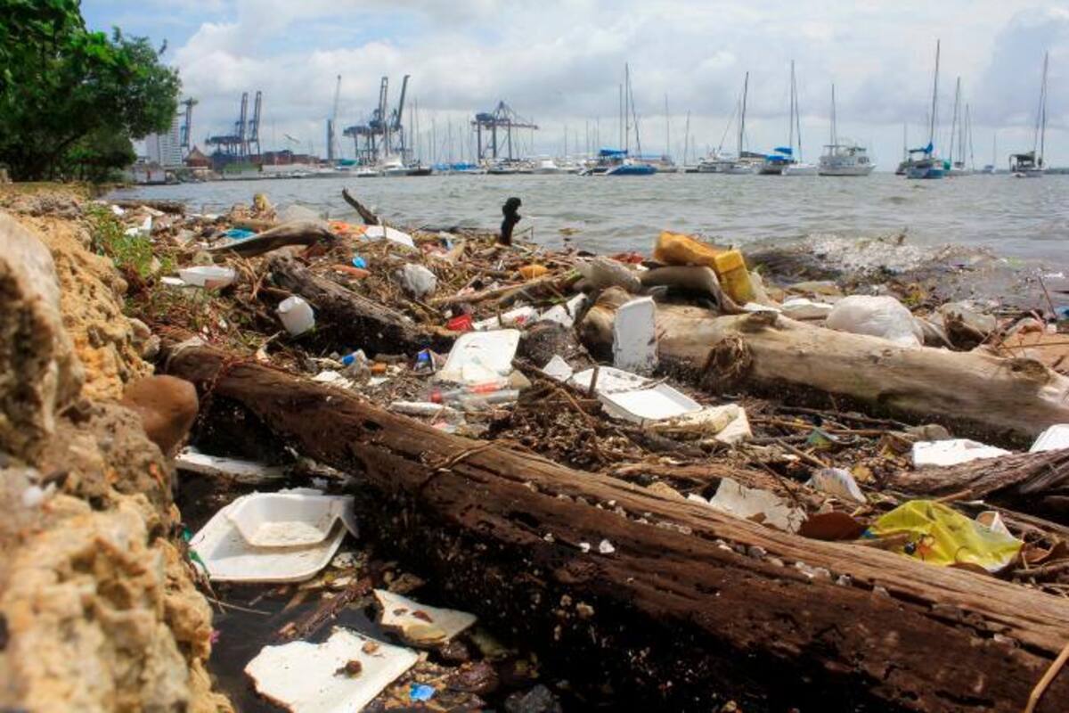 Paseo Peatonal de Manga, ¿abandonado por el Distrito?