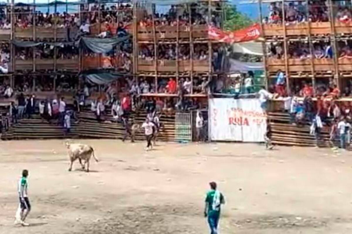 ¿Qué pasará con alcalde de El Espinal tras tragedia en plaza de toros?