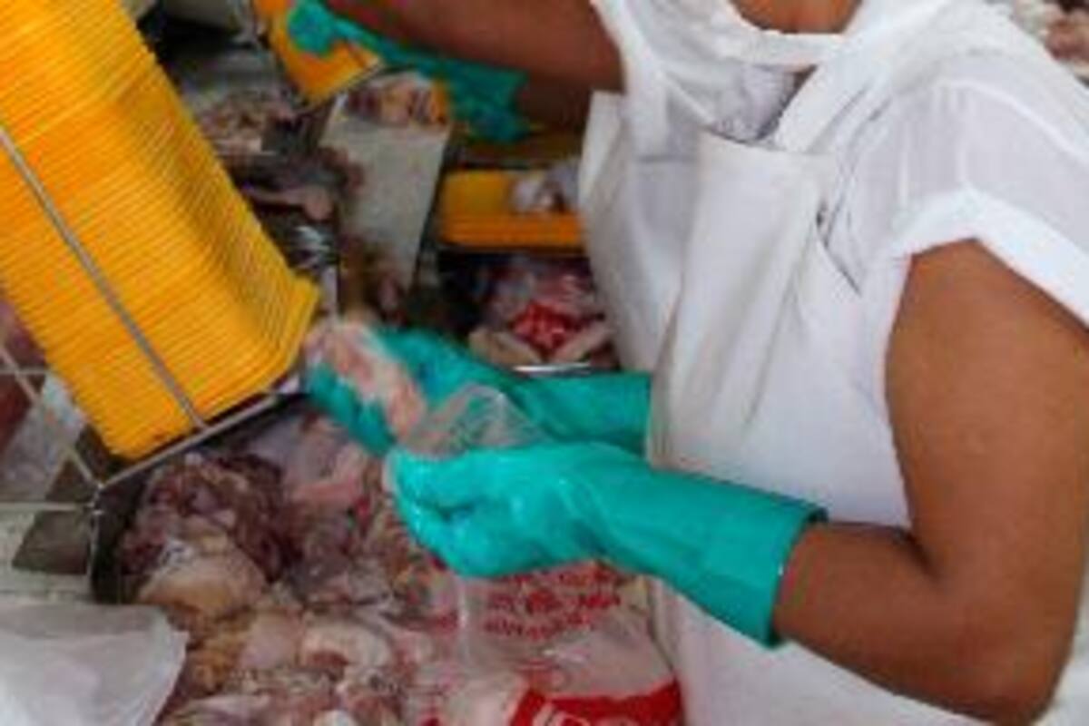 ¿Lavar el pollo antes de cocinarlo es malo para la salud? Esto dice un estudio