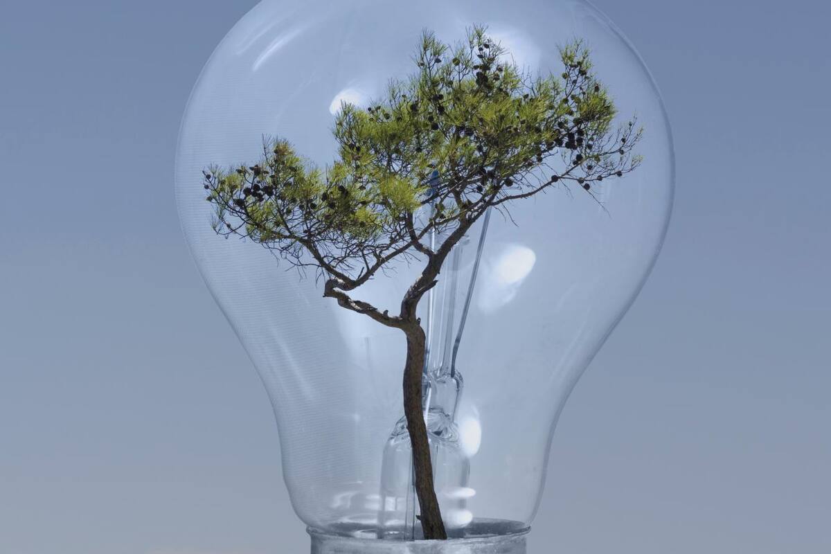Reduce tu huella de carbono, así puedes ayudar al planeta