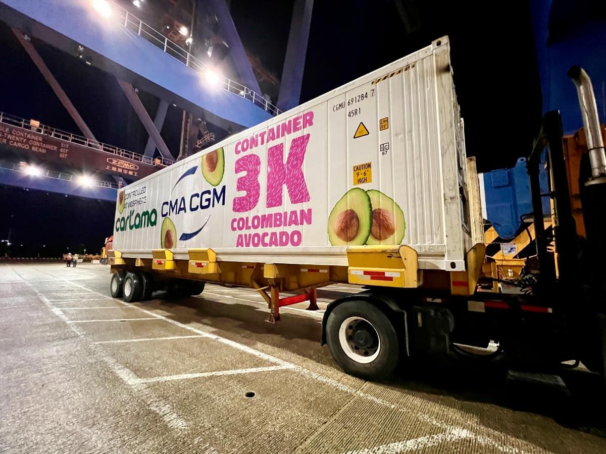 Con 3.444 conexiones para contenedores refrigerados, el Grupo Puerto de Cartagena se posiciona como puerto líder en el cuidado y tratamiento de frío. Embarque de aguacate Hass en Contecar. //Cortesía