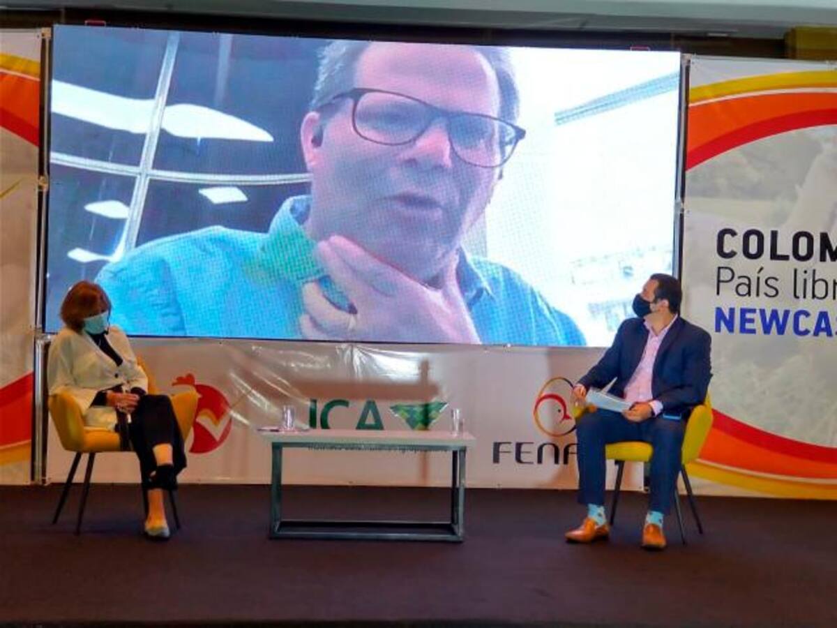 En pantalla el viceministro de Asuntos Agropecuarios, Juan Gonzalo Botero. En el escenario, la gerente General del ICA, Deyanira Barrero, y el presidente de Fenavi, Gonzalo Moreno, en el lanzamiento de ‘Colombia, país libre de Newcastle’.