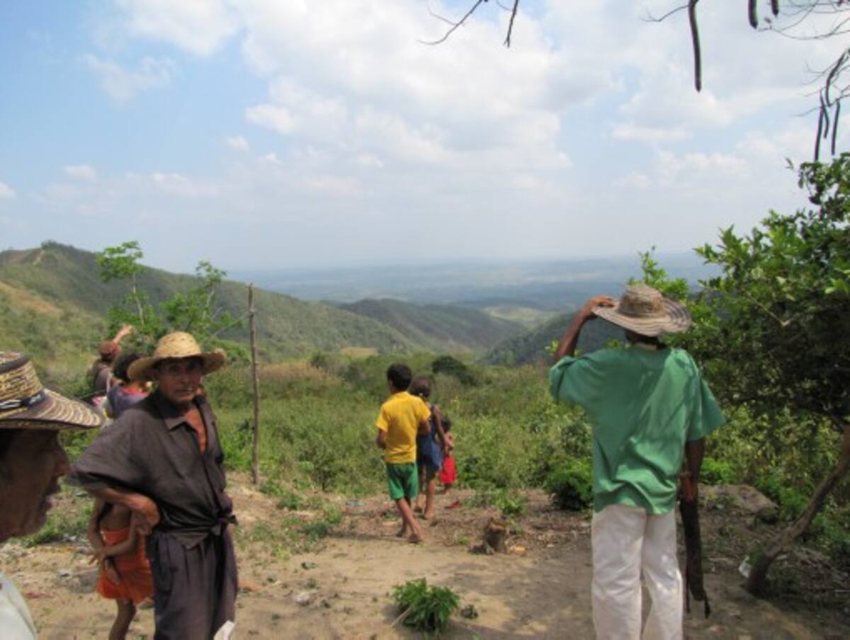 Los Montes de María es uno de los primeros sectores en los que la entidad bus-ca cómo ha cambiado la propiedad de grandes extensiones de tierra. archivo