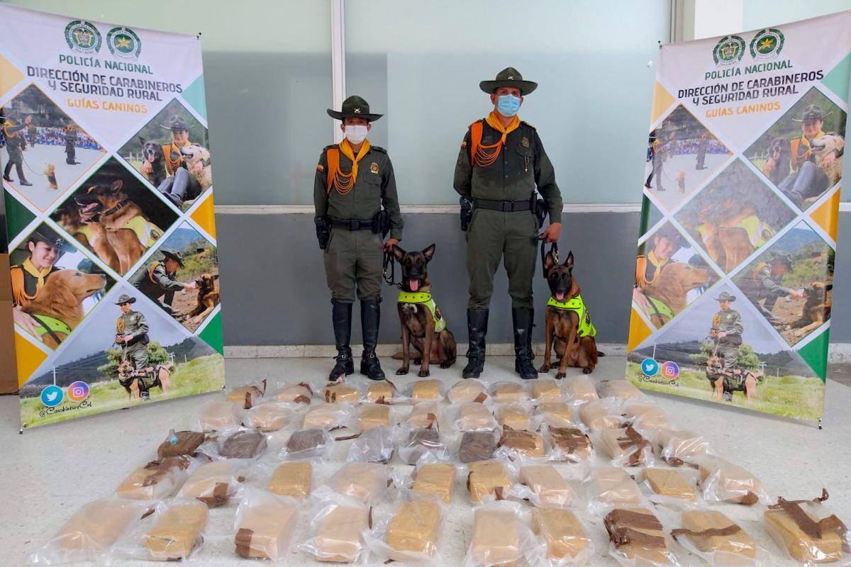 Policía incauta 55.000 gramos de marihuana en una empresa de envíos