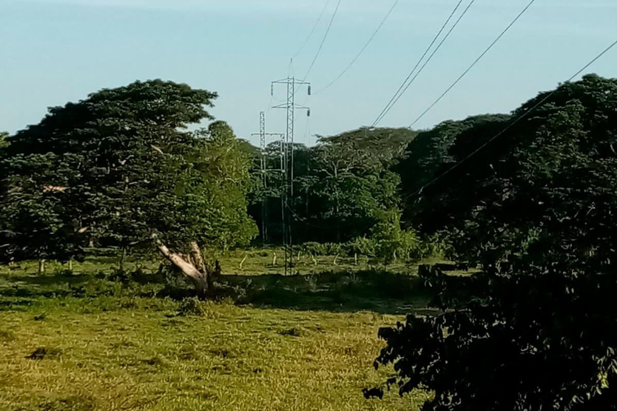 Robo en redes de Afinia provoca apagones en Arjona y otros municipios