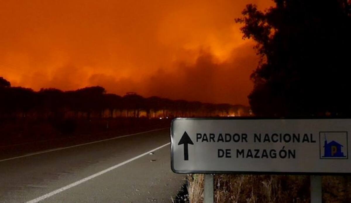 El incendio ha llegado al llamado Espacio Natural de Doñana pero no al Parque del mismo nombre, una de las joyas mundiales de la biosfera. EFE