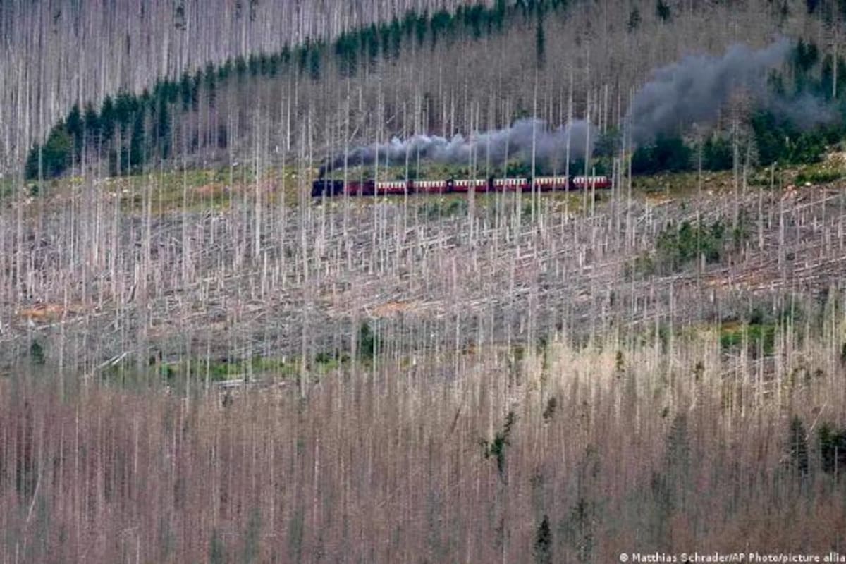 La OMM revela cuál es el continente con el cambio climático más acelerado