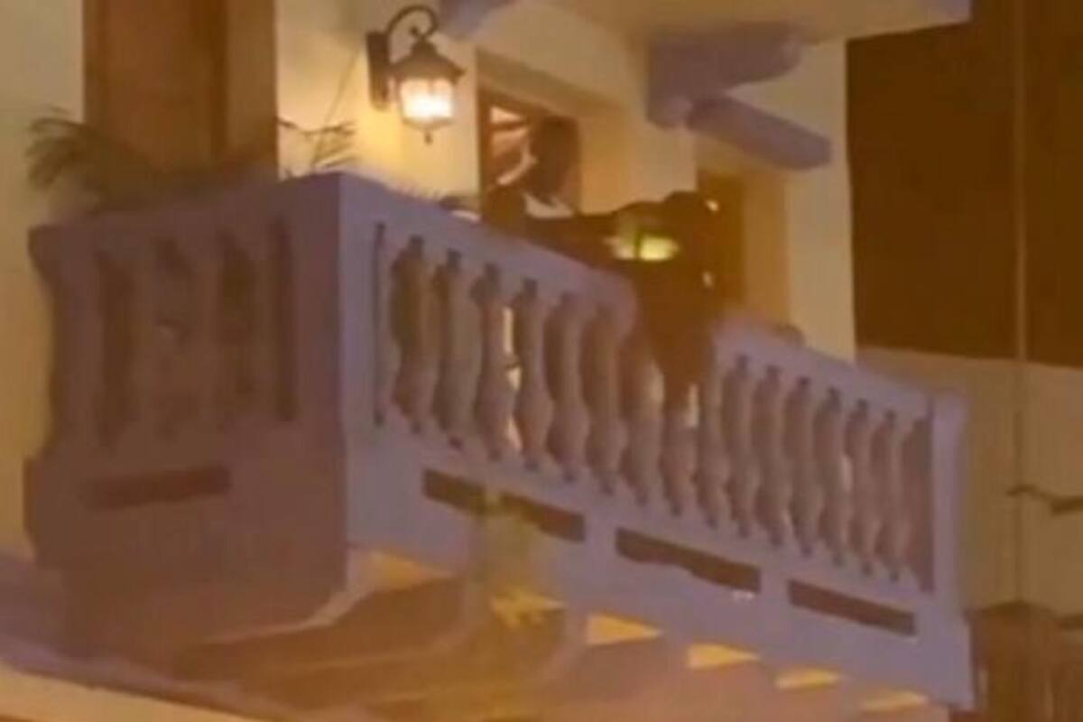 Sancionan a pareja que tuvo relaciones en un balcón del Centro Histórico