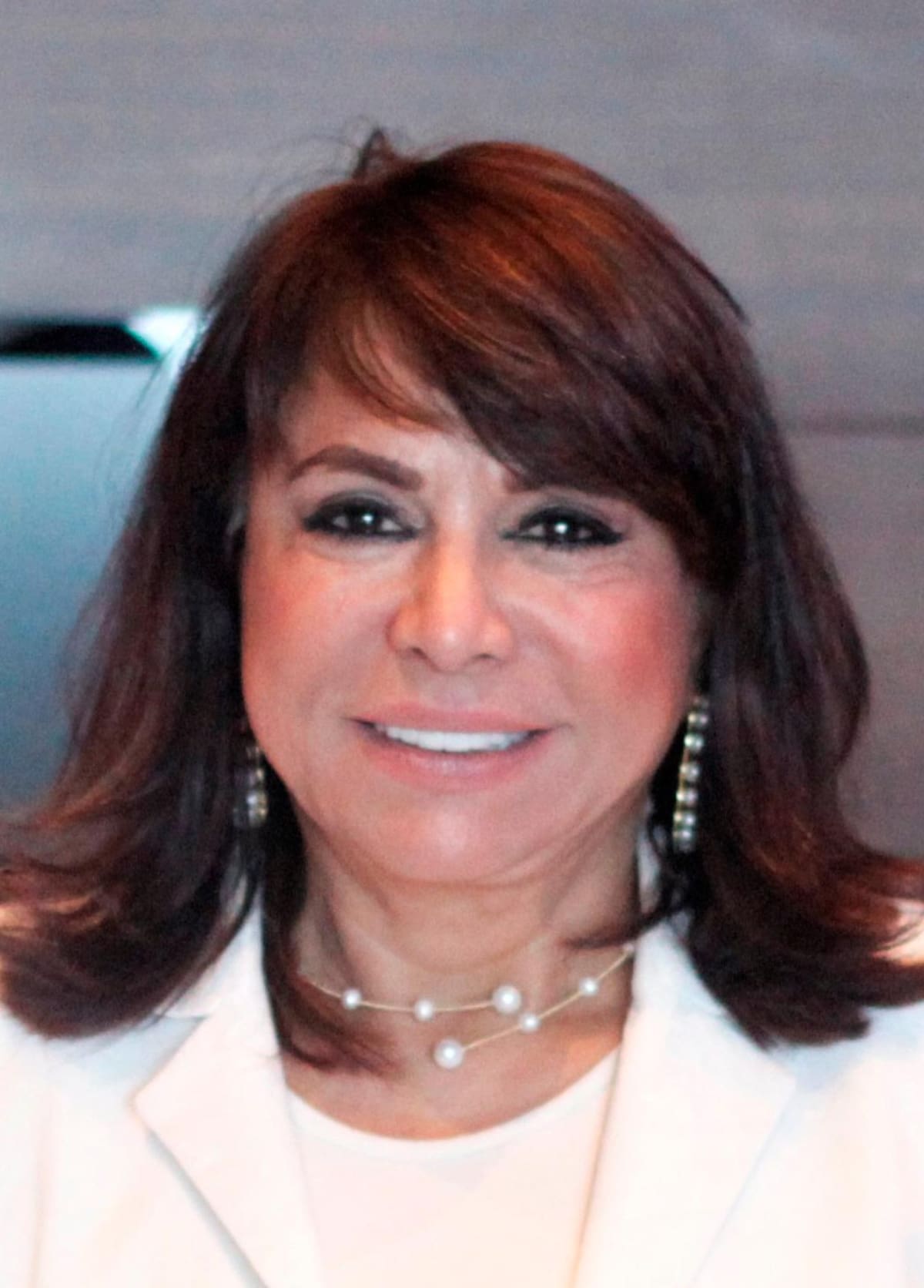 Mayra Rodríguez, presidenta Junta Directiva de Fedelonjas.