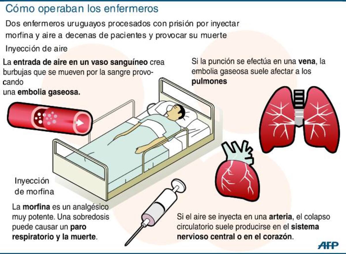 Los acusados indicaron que actuaron “porque no querían ver sufrir a la gente”, algo ratificado por los abogados defensores. AFP