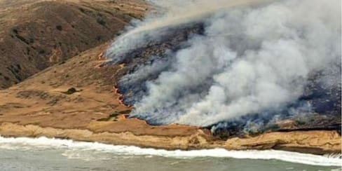 Caos en California: incendio masivo obligó a evacuar a más de 30.000 personas