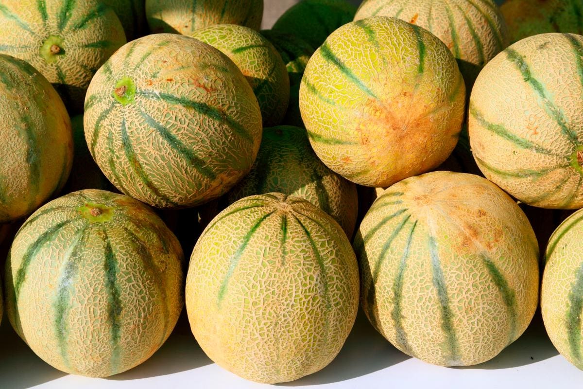 ¡Ojo! Cinco muertes por salmonella son vinculadas a melones de México