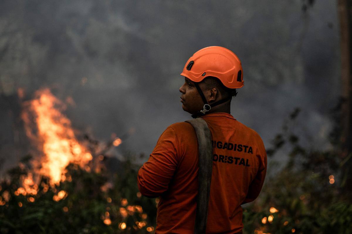 Los incendios en el norte de la Amazonía brasileña se multiplican por doce
