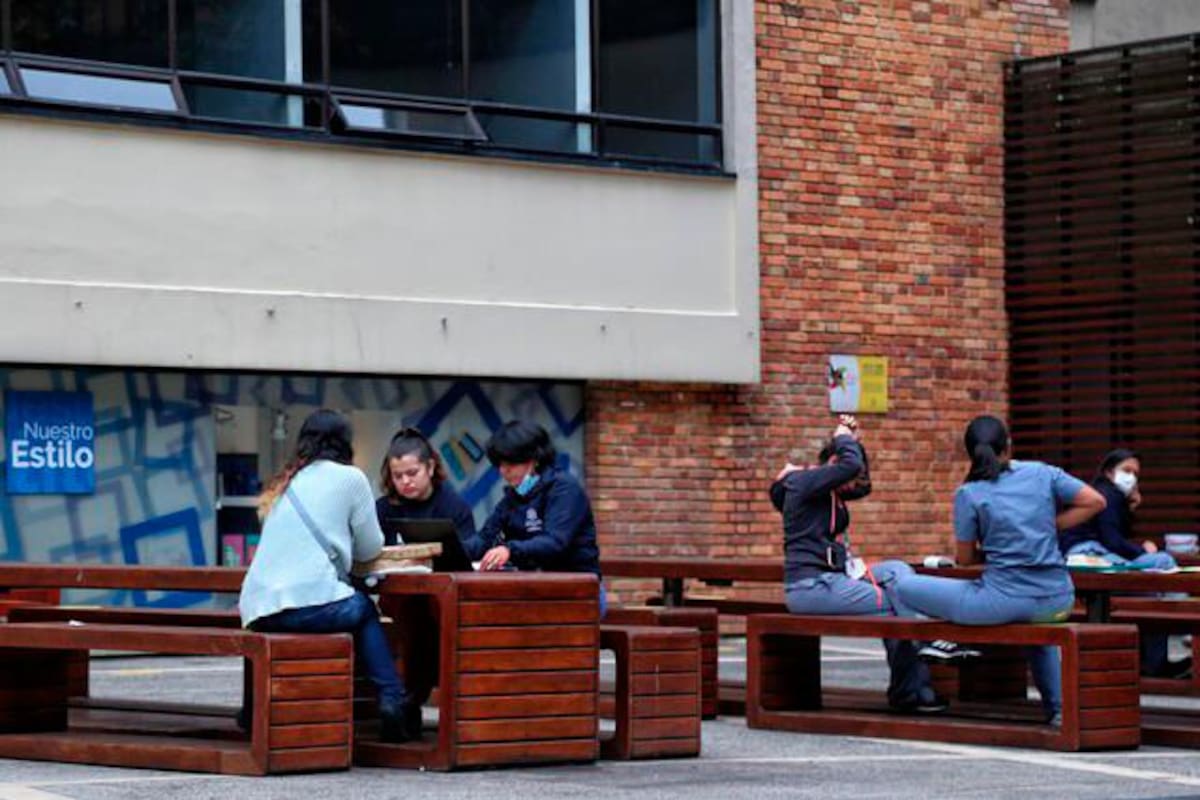 Matrícula en educación superior se incrementó en 3,93% en último año