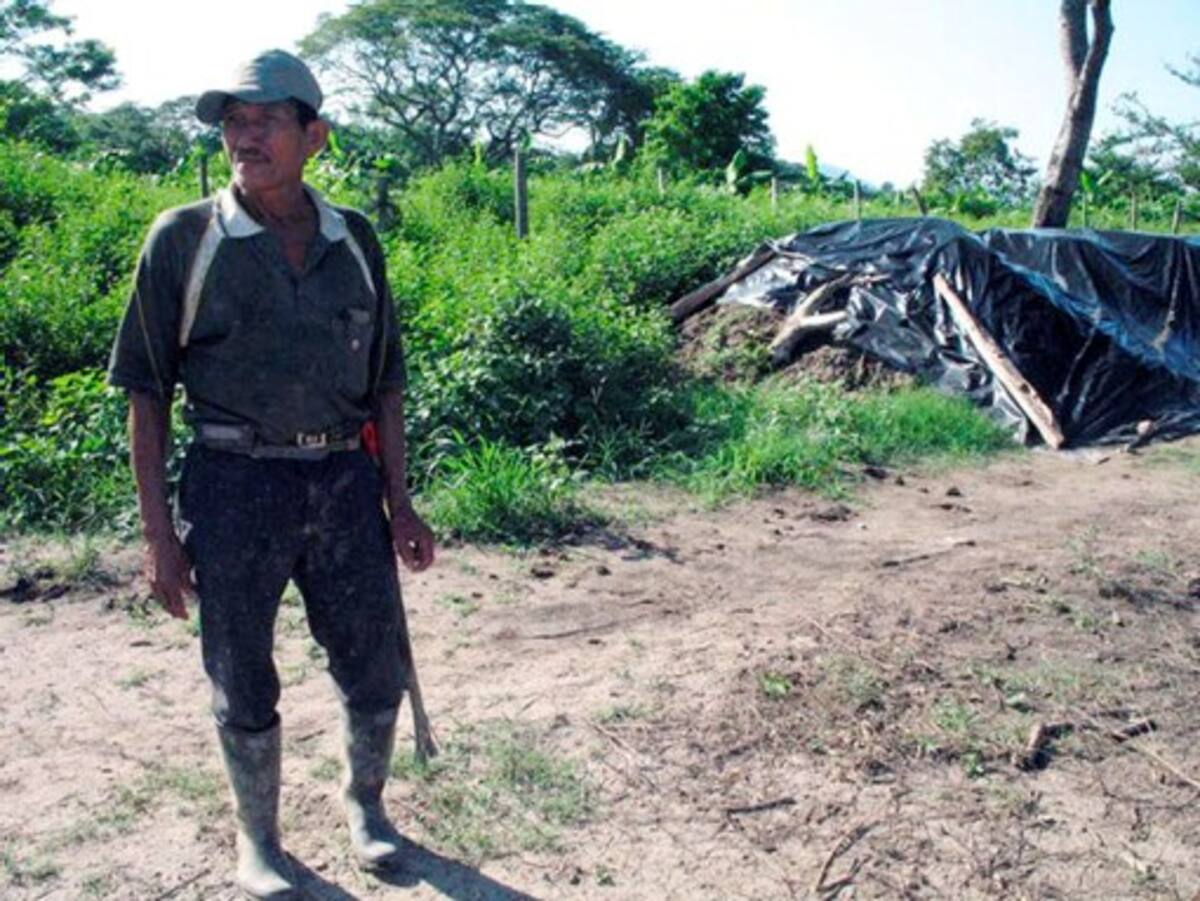 Misael Payares es el líder de las 123 familias campesinas que fueron desalojadas de la Hacienda Las Pavas, en sur de Bolívar y que ya retornan después de un fallo de la Corte Constitucional. COLPRENSA