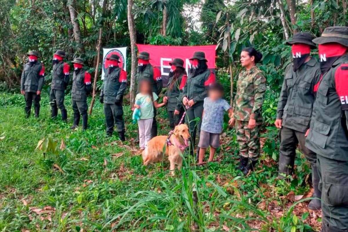 ELN da muestras de paz tras liberar a la sargento Ramírez, ¿qué viene ahora?