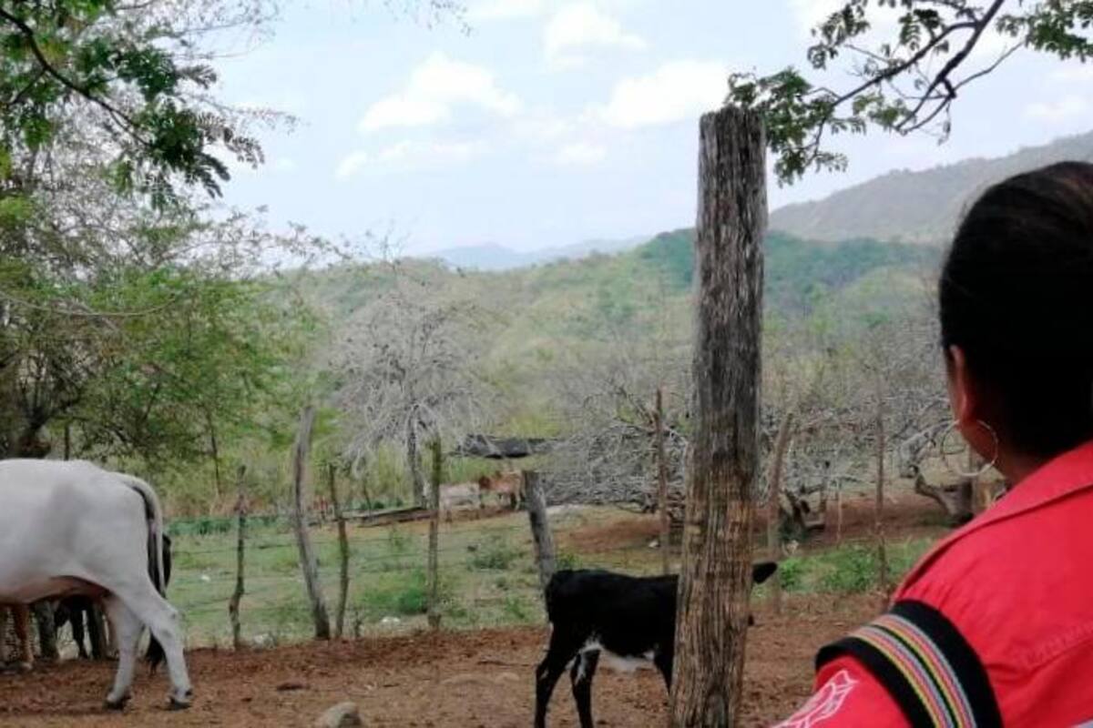 Mujeres en reincorporación transforman estereotipos de género en el Caribe