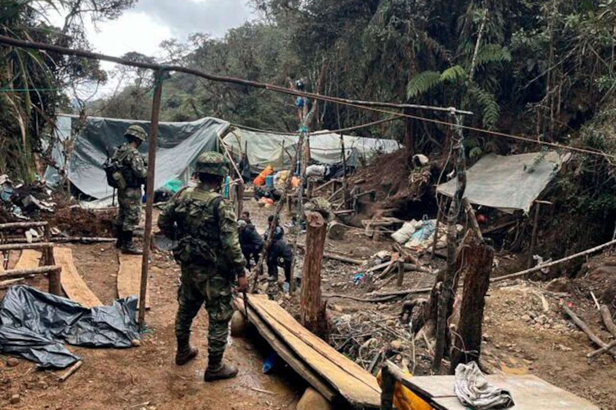 Más de 20 años tardará en recuperarse Farallones de Cali por la minería ilegal