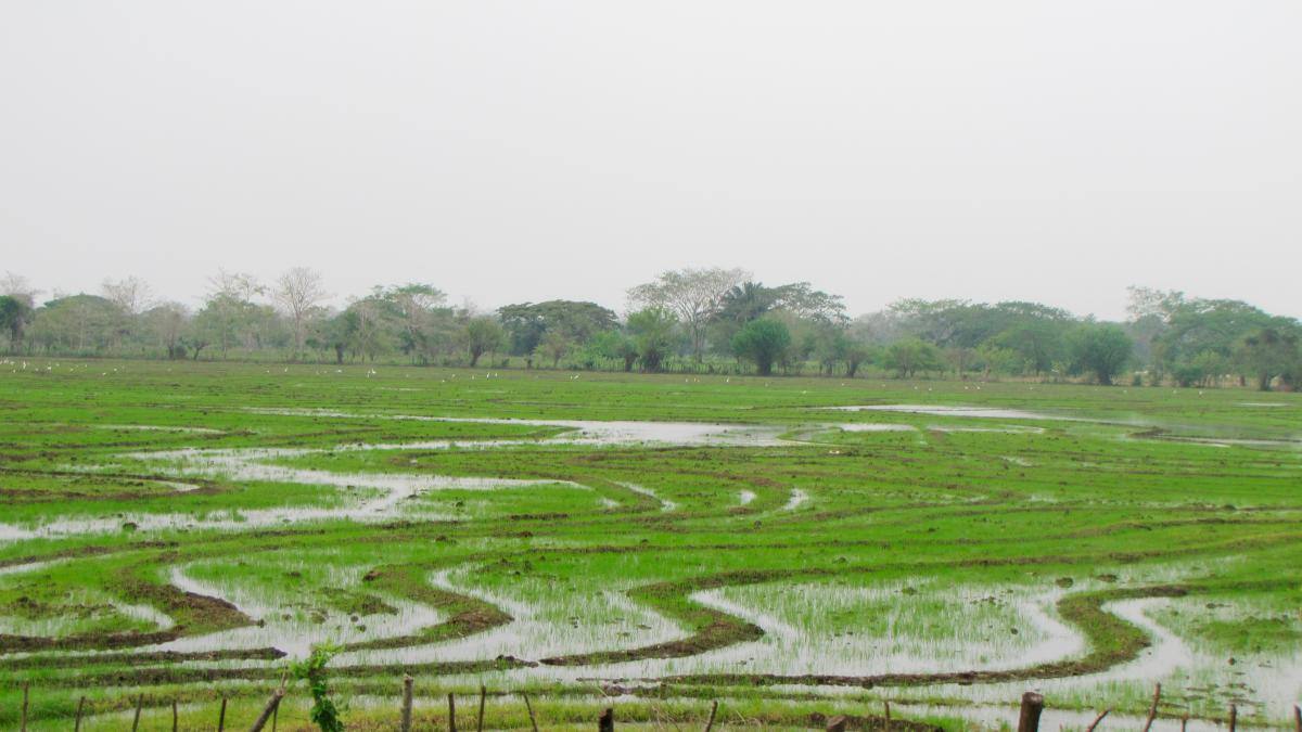 Montaje de los equipos del molino de Marialabaja. // FOTOS HERMES FIGUEROA - EL UNIVERSAL
