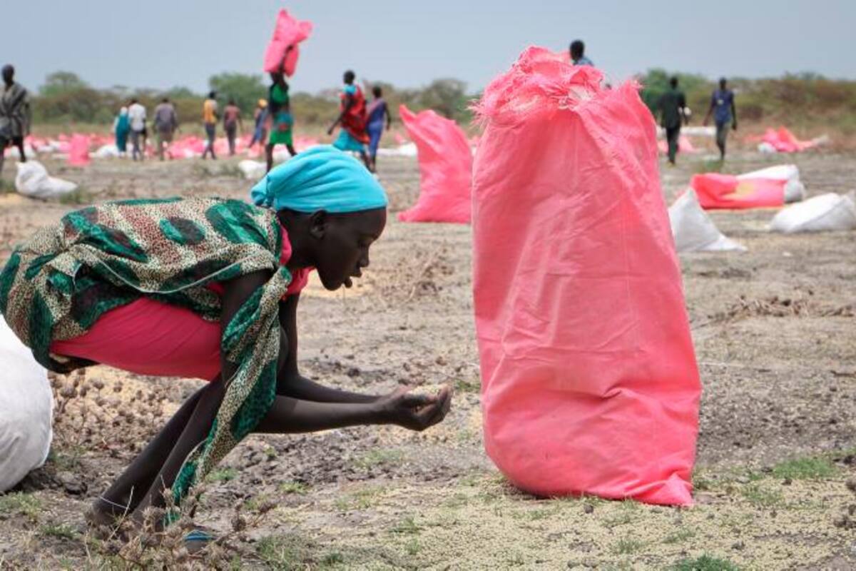Programa Mundial de Alimentos de ONU gana el Nobel de la Paz 2020