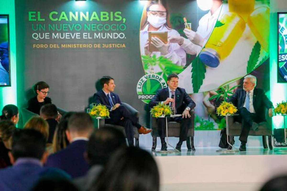 Industria de cannabis medicinal se fortalece en el país