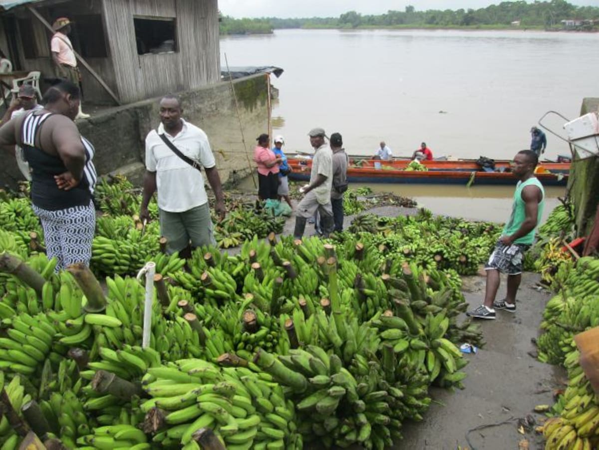 Plátanos y guineo que vienen de los pueblos ribereños al mercado de Quibdó.
