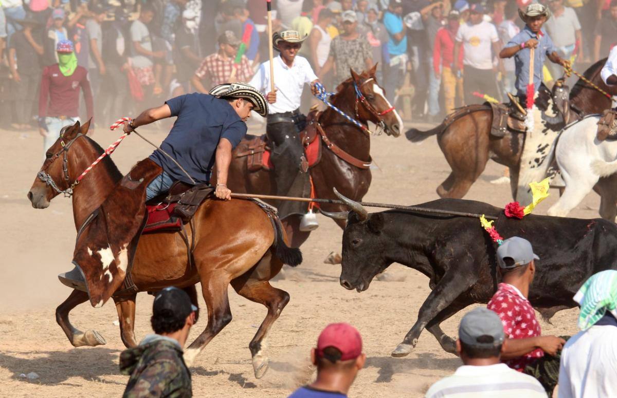 J.J. Bertel, ganadero ganador, mostrando su habilidad con la garrocha. //Manuel Santiago Pérez.