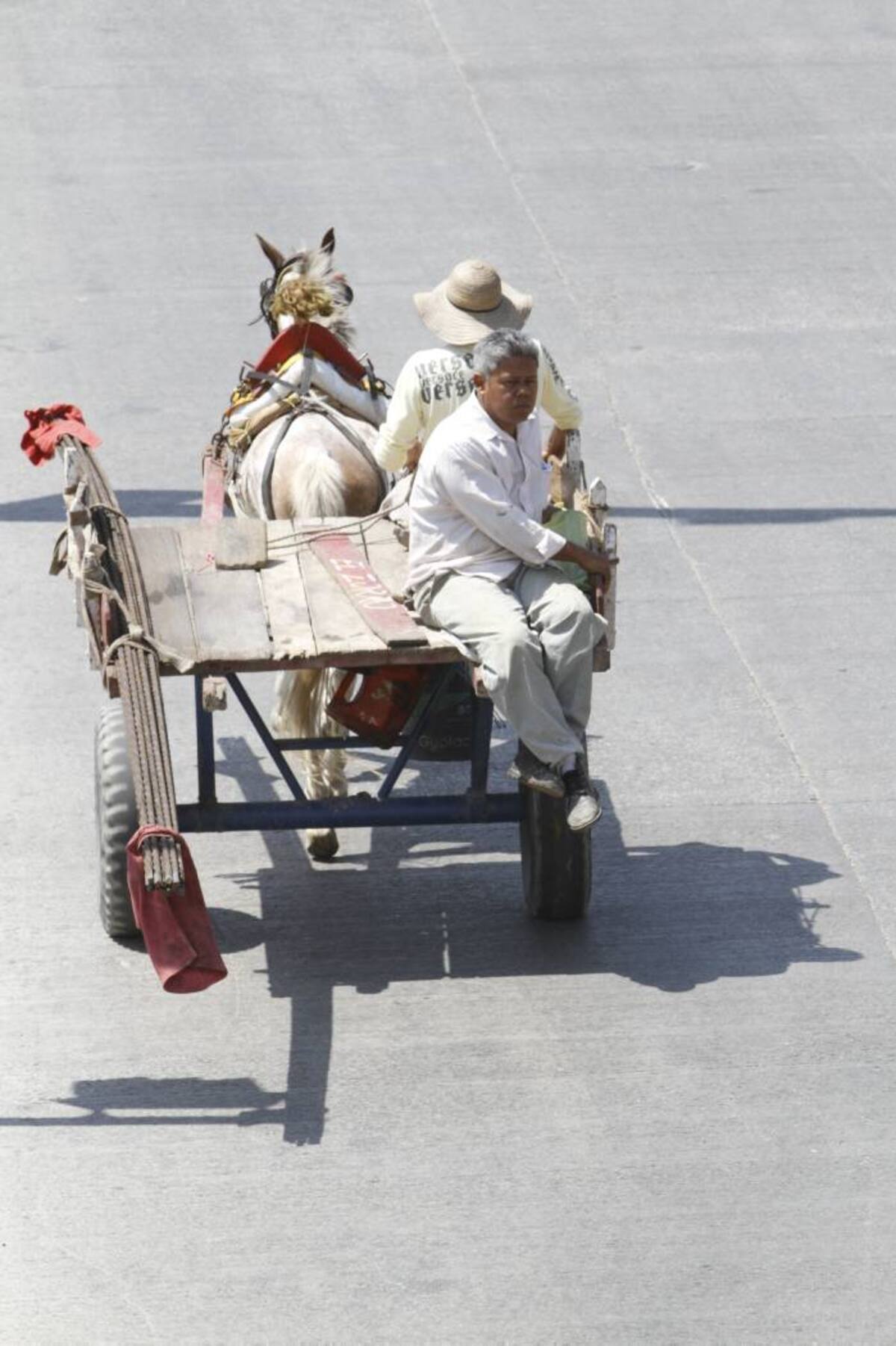 Los gobiernos de ciudades como Bogotá también pidieron plazo al Gobierno Nacional para definir la suerte de los vehículos de tracción animal, teniendo en cuenta que aún no tienen los planes de sustitución de este medio de transporte de carga. JULIO CASTAÑO BELTRÁN - EL UNIVERSAL