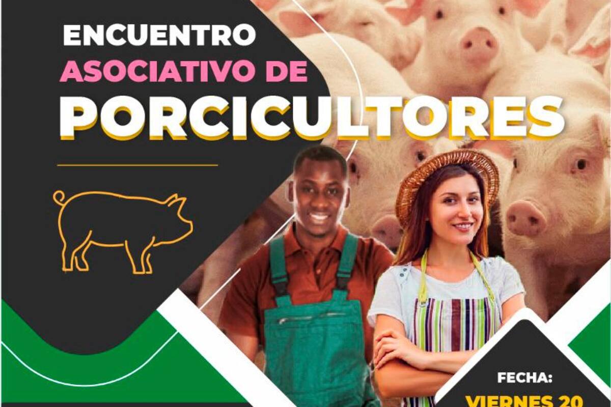 Porcicultores también le apuestan a la reactivación
