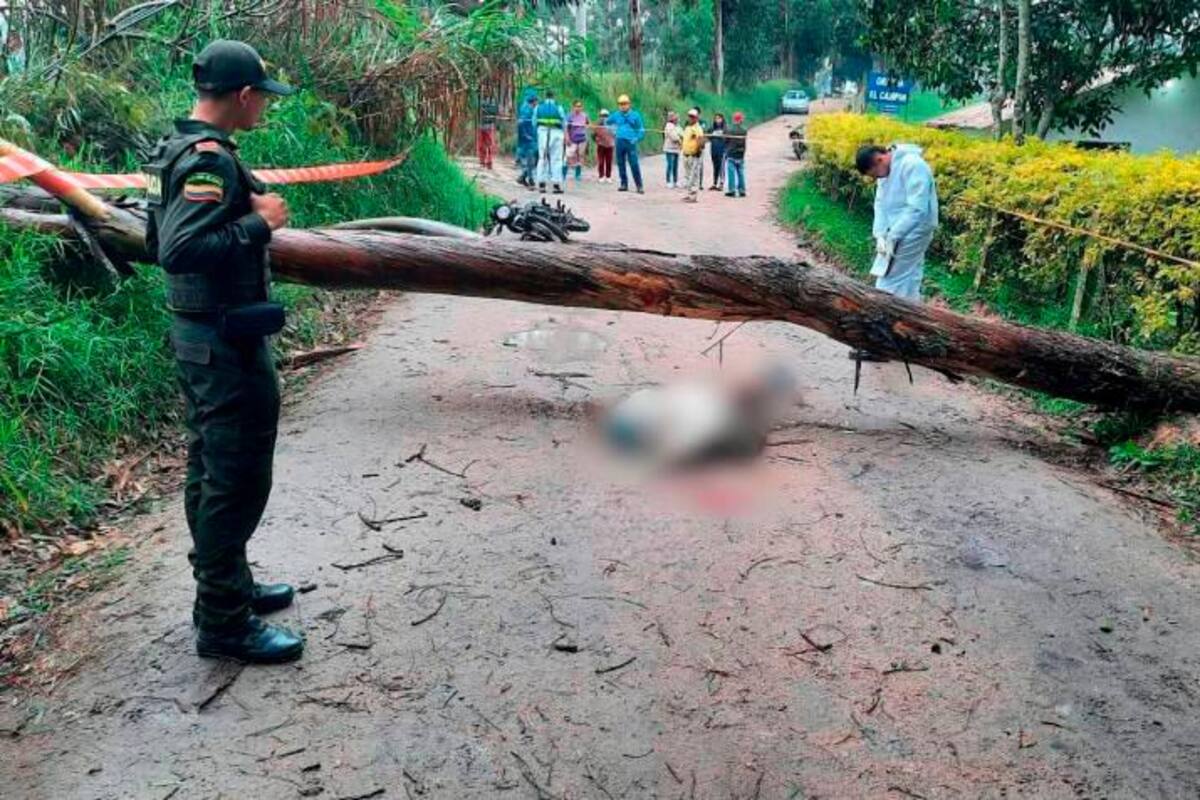 Joven iba en su moto para el trabajo, un árbol le cayó encima y lo mató