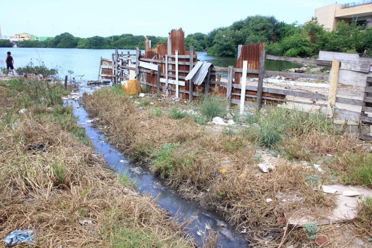 Un muerto y más de 60 casos: el dengue en la última semana en Cartagena