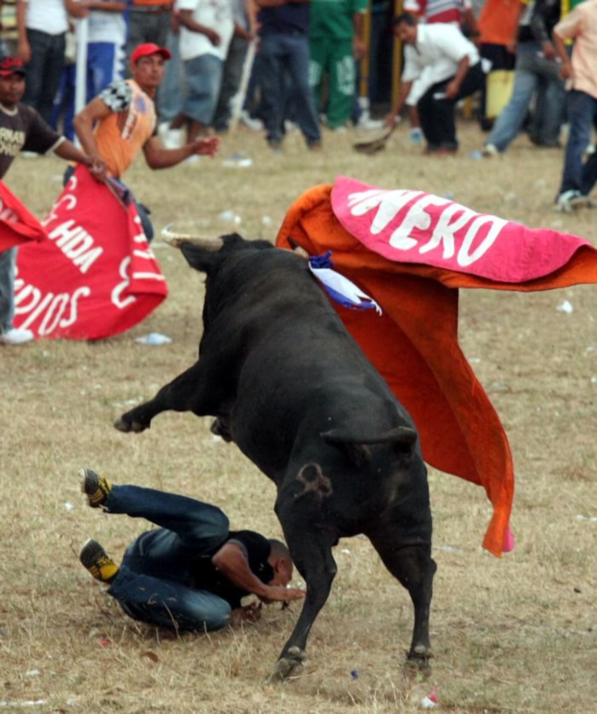 Los toros permitieron la lidia de manteros, capoteros, banderilleros, entre otro MANUEL SANTIAGO PÉREZ - EL UNIVERSAL -