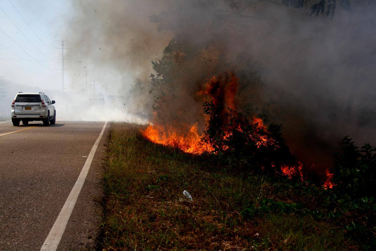 En el 2020 hubo más de 500 incendios forestales, en el 2021 la cifra bajó a 398 pero aun así sigue siendo alta.