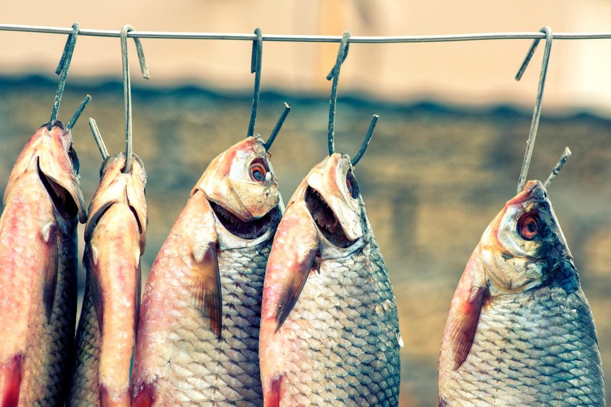 ¡Repulsiva! Esta enfermedad hace que el cuerpo huela a pescado o a basura