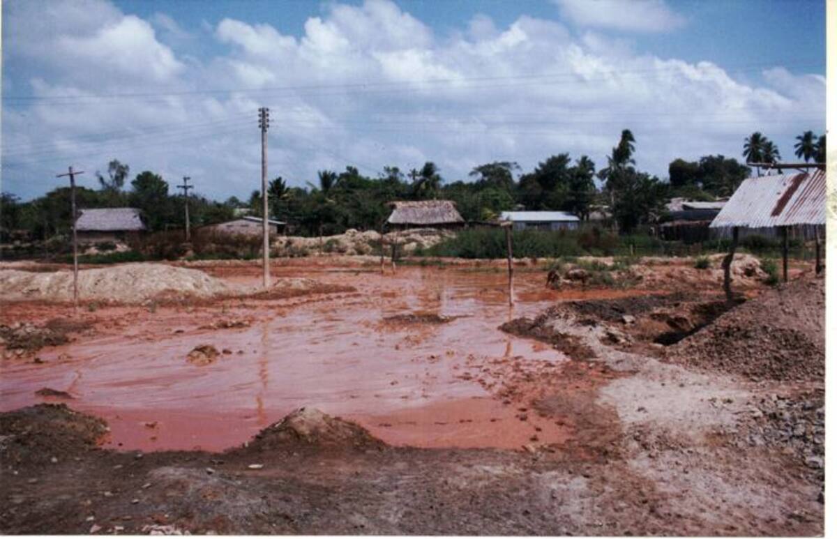 La contaminacion se debe al uso indiscriminado de elementos como el mercurio y el cianuro en la mineria. diciembre 31 de 2001. CORTESÍA