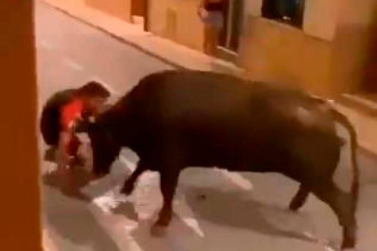 Impactante video: joven es embestido en reiteradas ocasiones por un toro
