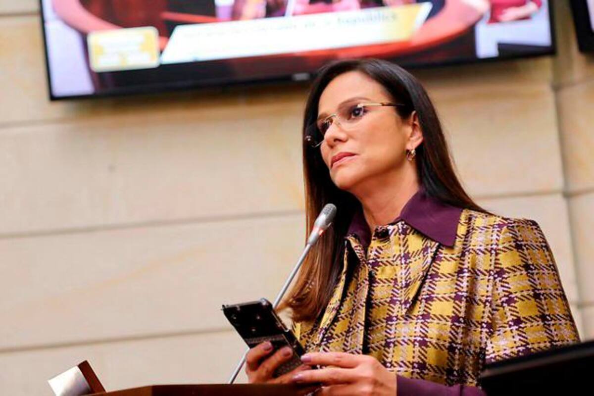 Advierten que Gobierno está escondiendo ventas de activos de la Nación
