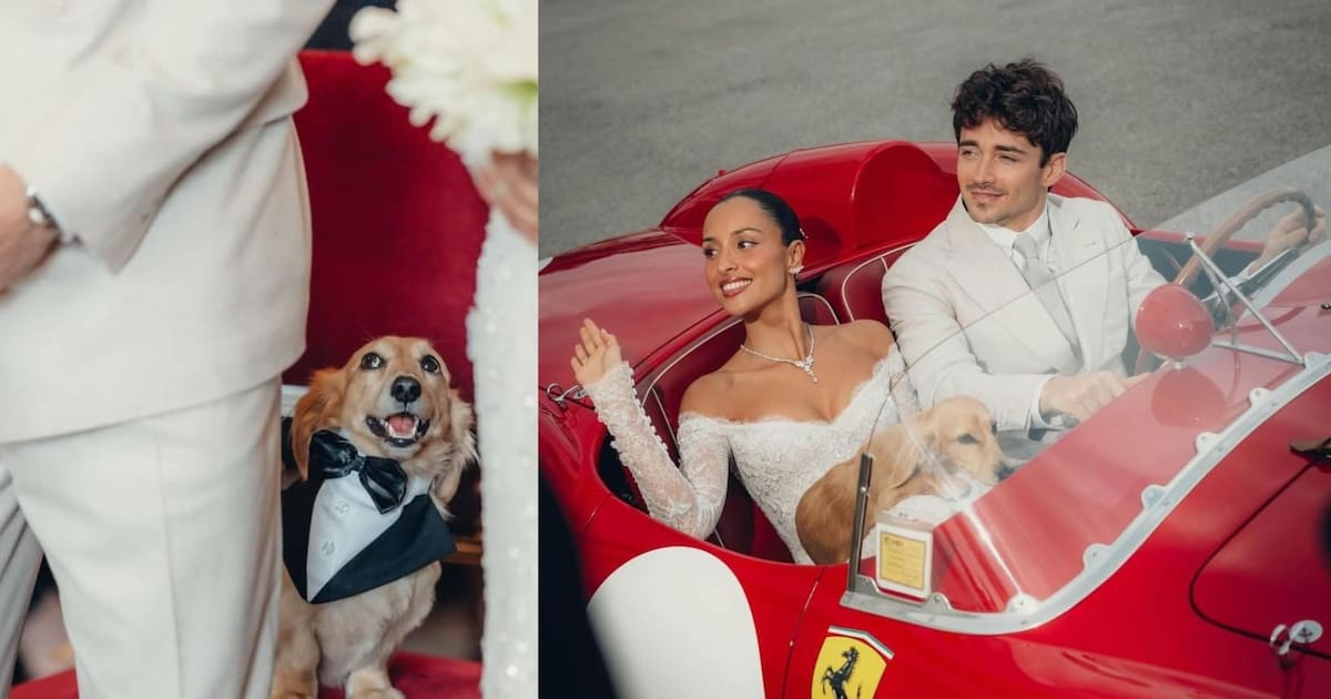 Leo, the puppy who stole the spotlight at the wedding of Charles Leclerc and Alexandra Saint