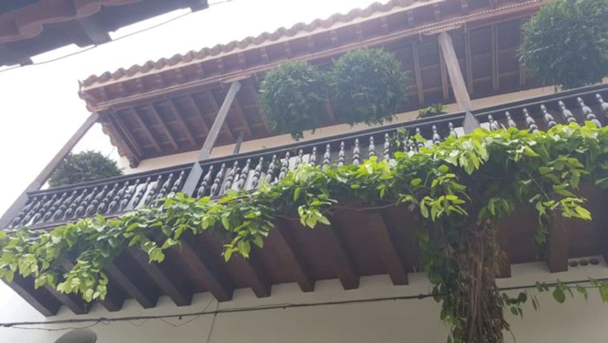 Foto: Cortesía