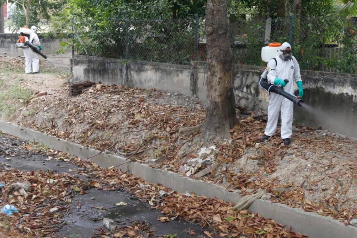 Comienzan fumigaciones contra el dengue en Cartagena