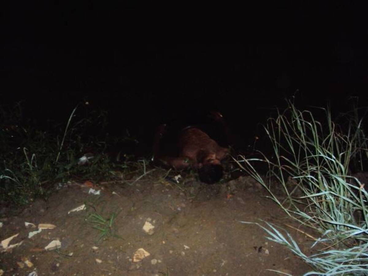 El cuerpo del hombre fue hallado en un caño en el barrio Las Palmeras. EL UNIVERSAL