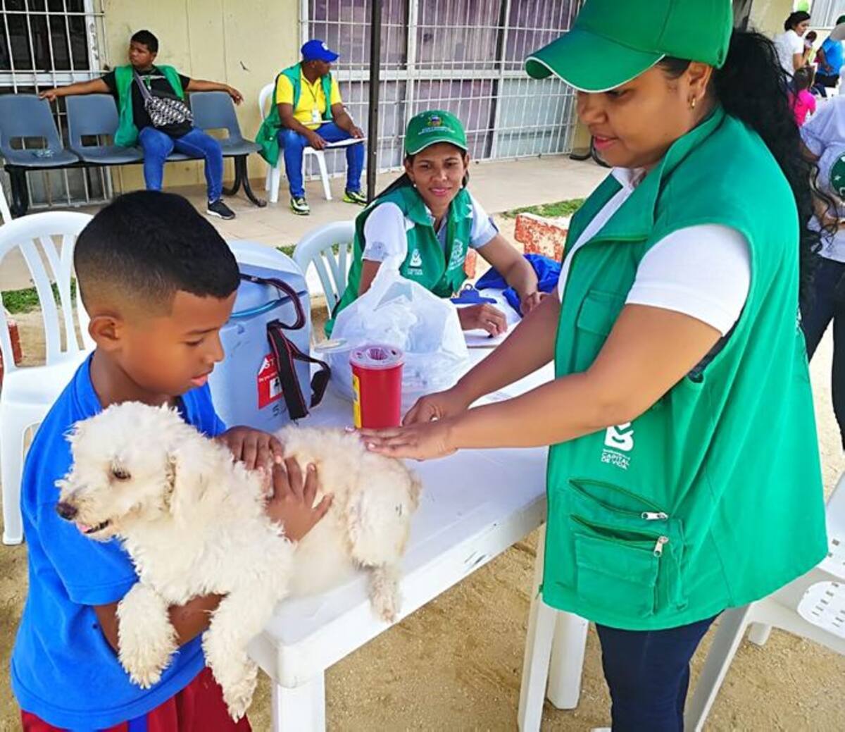 La vacunación de los animales reduce las infecciones en el ser humano. Archivo