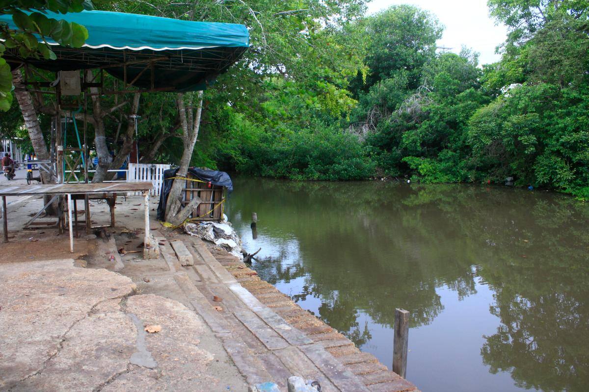 “Hay más mosquitos que gente”: el barrio de Cartagena con 6 casos de dengue