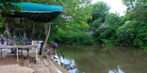 “Hay más mosquitos que gente”: el barrio de Cartagena con 6 casos de dengue