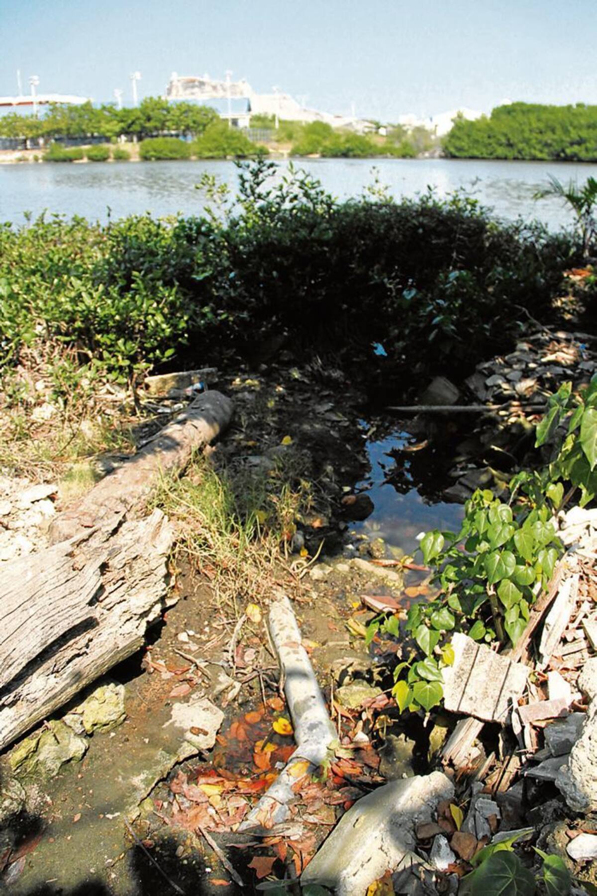 Un tubo fue instalado por Aguas de Cartagena para que las aguas residuales desembocaran en el Caño de Bazurto. Al principio el problema disminuyó, pero luego volvió a empeorar. ÓSCAR DÍAZ, GENTE BAHÍA-EL UNIVERSAL