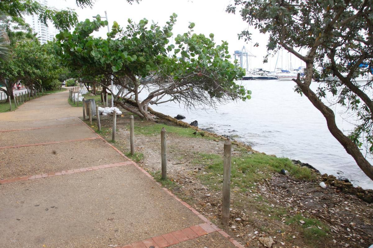 8 zonas verdes de Cartagena fueron adoptadas para su mantenimiento