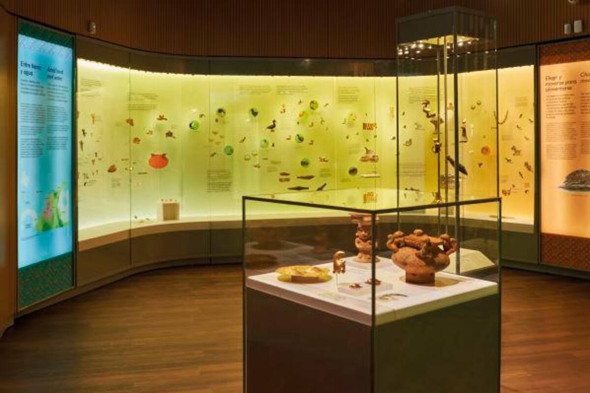 Detalles que debes conocer acerca de la reapertura de ‘El Museo del Oro Zenú’