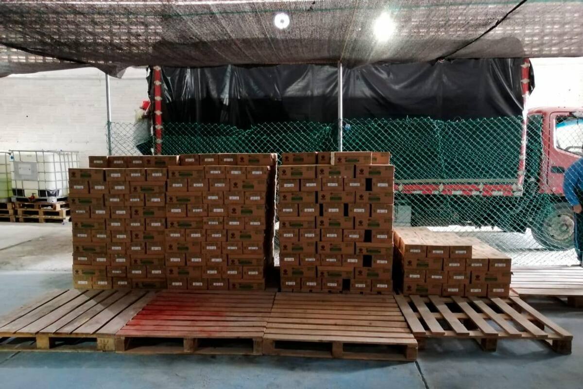 Entregarán 18 mil unidades bienestarina a niños cartageneros